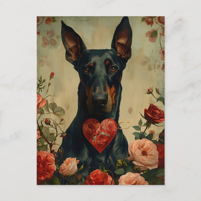 Carte Postale Doberman vintage Saint Valentin (Devant)