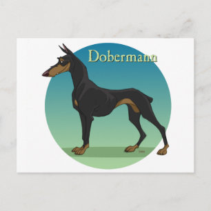 Carte Postale dobermann