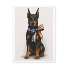 Dobermann patriotique