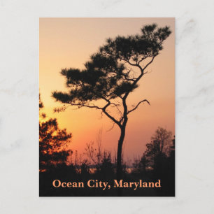 Carte postale d'Ocean City au coucher du soleil
