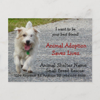 Carte Postale Document de Secourt de chien de petite race