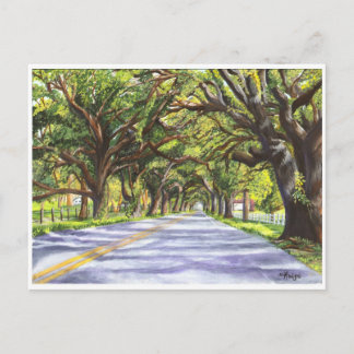 Carte Postale Docville Oaks