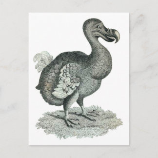 Carte Postale DoDo Bird Print
