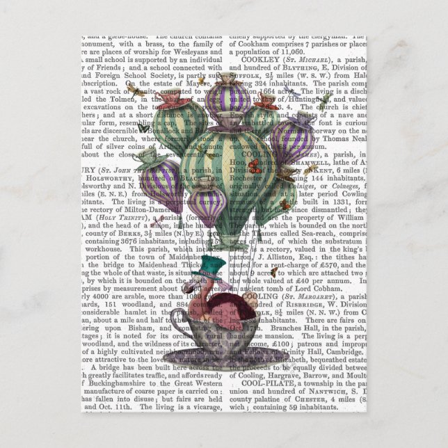 Carte Postale Dodo en Teacup avec libellules (Devant)