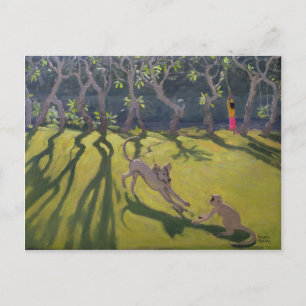 Carte Postale Dog and Monkey 1998