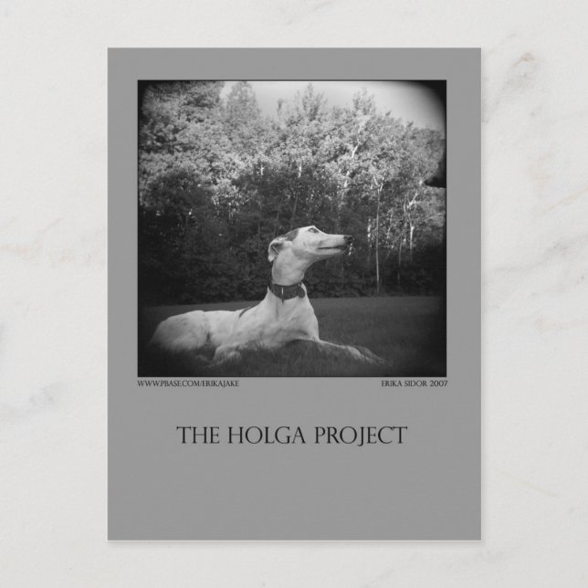 Carte postale Dog Park 12 (Devant)