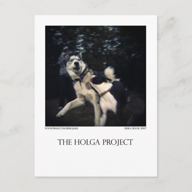 Carte postale Dog Park 13 (Devant)