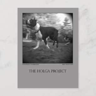Carte postale Dog Park 15