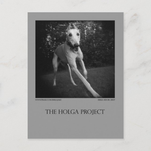 Carte Postale Dog Park Postcard 11 (Devant)