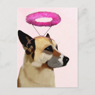 Carte Postale Dog with Pink Halo