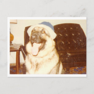 Carte Postale Doggie_Casquette