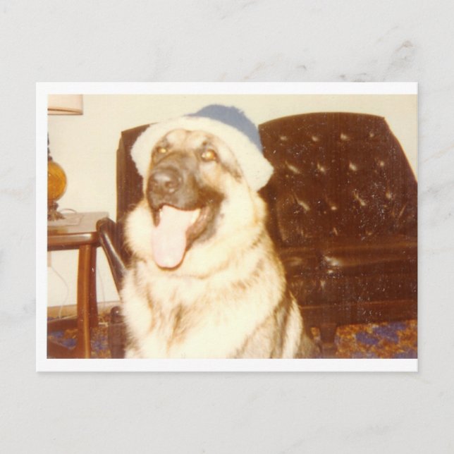 Carte Postale Doggie_Casquette (Devant)