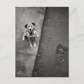 Carte postale Dogness