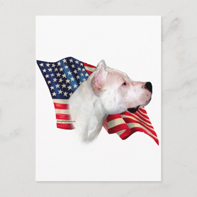 Carte Postale Dogo Argentino (Devant)