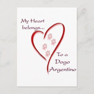 Carte Postale Dogo Argentino Coeur Appartient