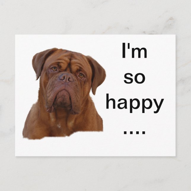 Carte Postale Dogue de Bourdeaux (Devant)
