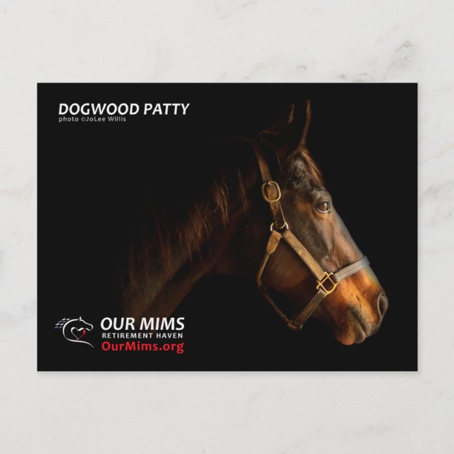 Carte postale Dogwood Patty (Devant)