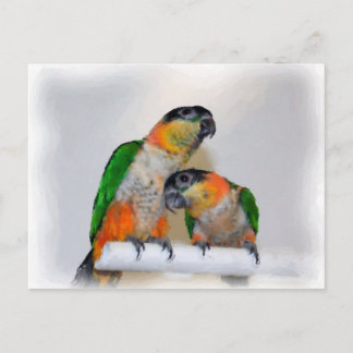 Carte postale d'Oiseau à aire de perroquet de Caiq