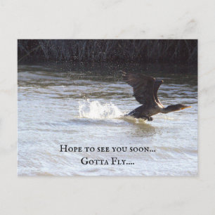 Carte postale d'oiseau amusant