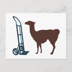 Carte Postale Dolly llama