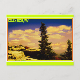 CARTE POSTALE "DOLLY SODS" ART