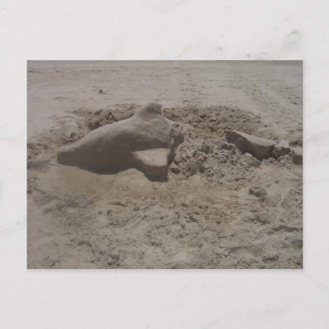Carte postale Dolphin Sandcastle broyé (Devant)