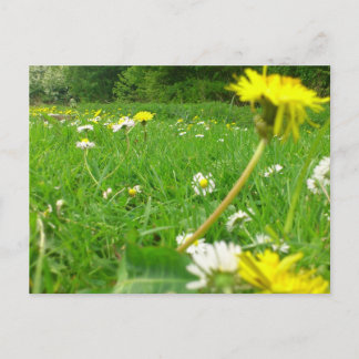 Carte Postale Domaine danois