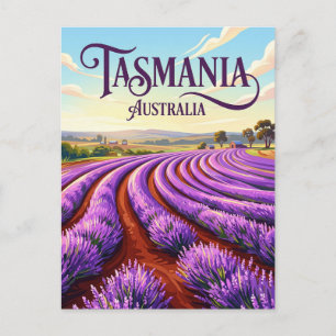 Carte Postale Domaine de lavande Bridestowe Australie