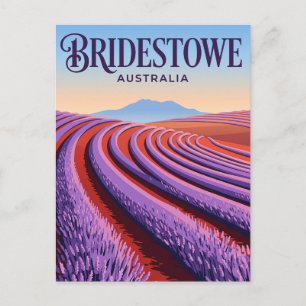 Carte Postale Domaine de Lavande Bridestowe Australie