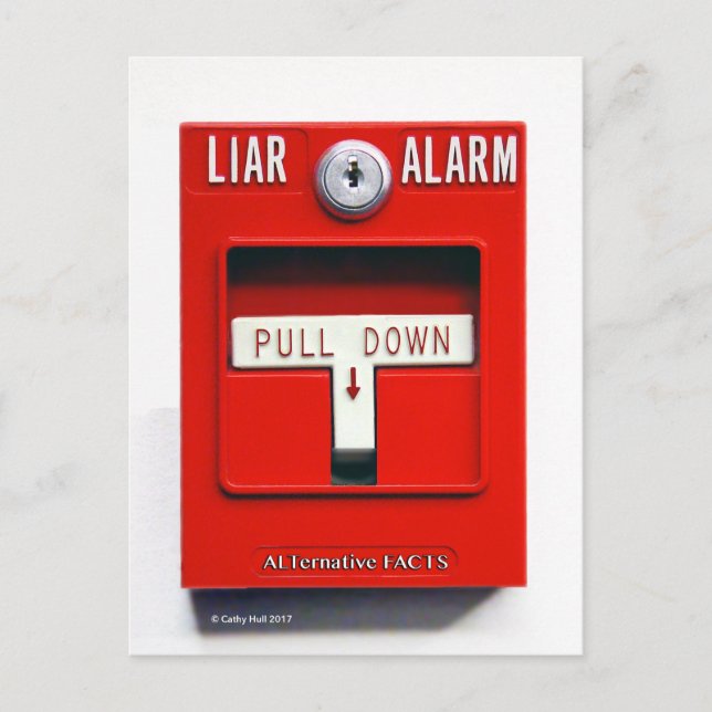 Carte postale Donald J.Trump Fire Trump (Devant)