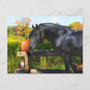 Carte postale "Donatella"