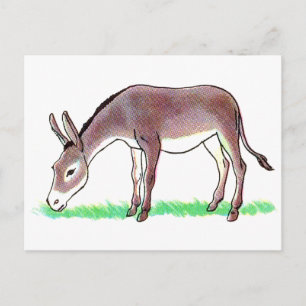 Carte Postale Donkey