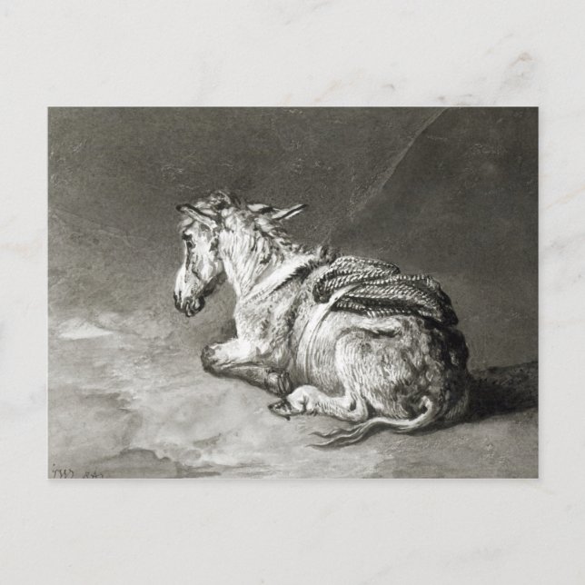 Carte Postale Donkey au repos (Devant)