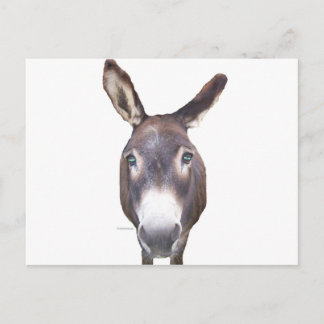 Carte Postale Donkey dans votre visage