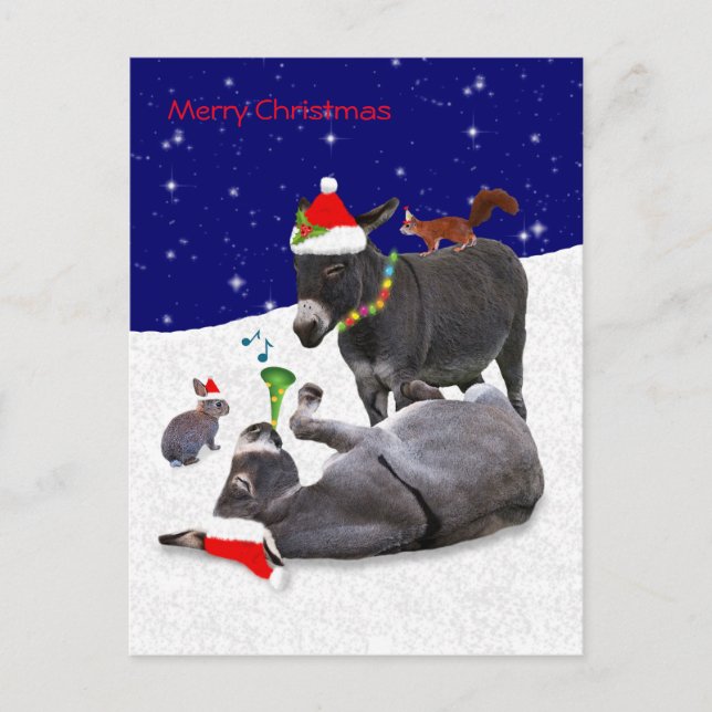 Carte postale Donkey Daze (Devant)