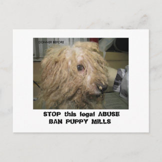 Carte Postale DonnerBichon12-10-08 (42), STOP this legal ABU...