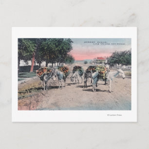 Carte Postale Dons chargés dans la rueLas Vegas, NM