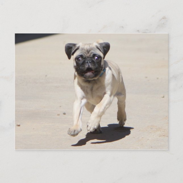 Carte Postale Doobie Runnin' (Devant)