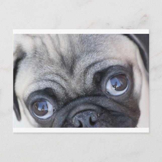 Carte Postale Doobie's Eyes (Devant)