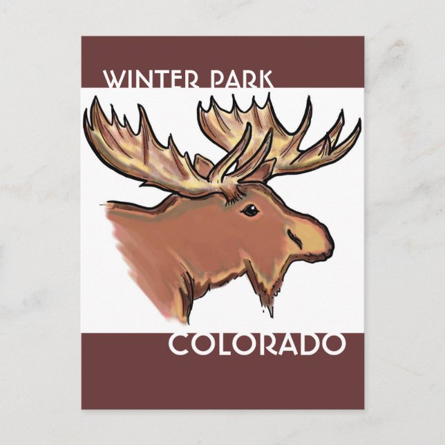 Carte postale d'orignal brun du Colorado (Devant)