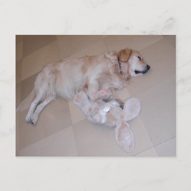 Carte Postale Dormant Golden Retriever (Devant)