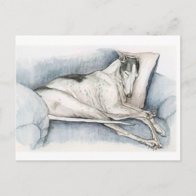 Carte Postale Dormir Greyhhhop Chien Art Poscard (Devant)