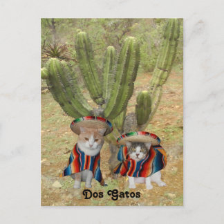 Carte Postale Dos Gatos