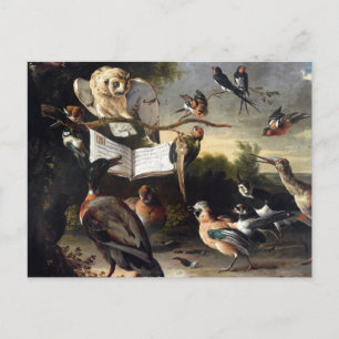 Carte Postale D'où viennent les chansons d'oiseaux