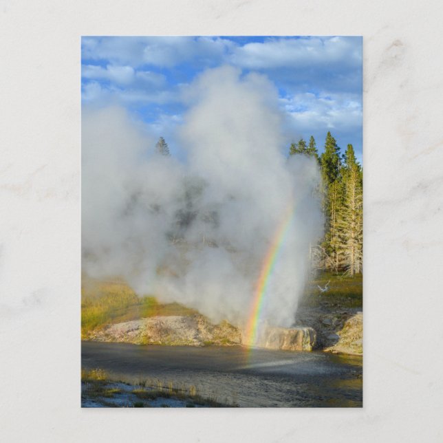 Carte Postale Double arc en ciel à Riverside Geyser, Yellowstone (Devant)