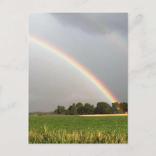 Carte Postale Double arc-en-ciel sur New Jersey Field (Devant)