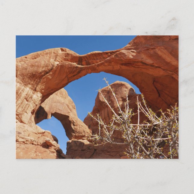 Carte Postale Double Arche à Arches National Park (Devant)