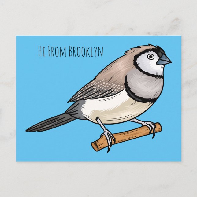 Carte Postale Double-barred finch bird cartoon illustration (Devant)