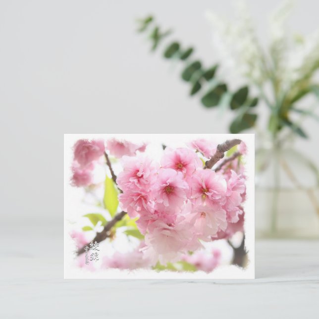 Carte Postale Double Cherry Blossom: Ayanishiki ポストカード (Debout devant)