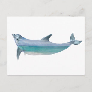 Carte Postale Double exposition Dolphin Ocean